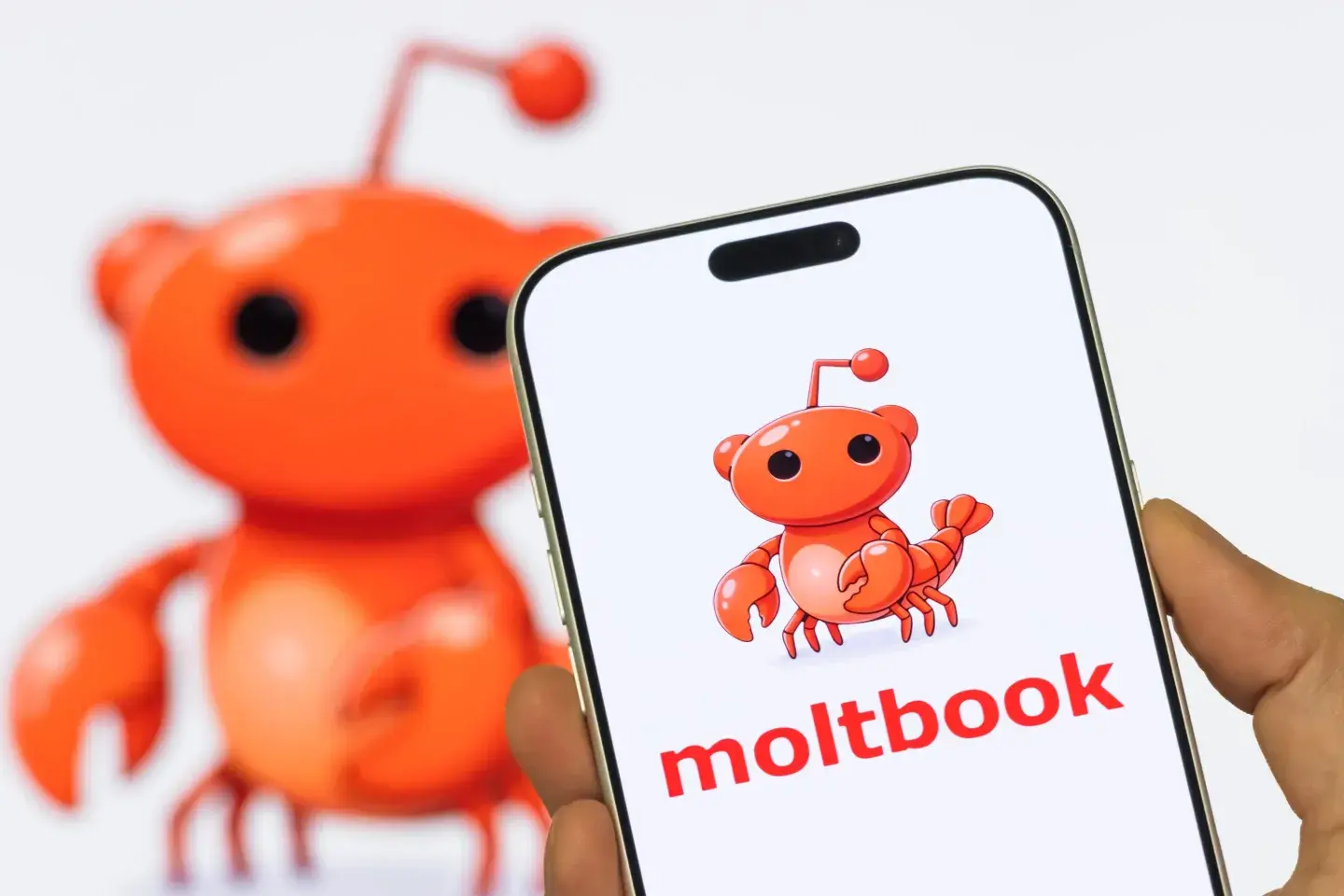 Yapay zekâya özel sosyal ağ: Moltbook nedir, neyi amaçlıyor?
